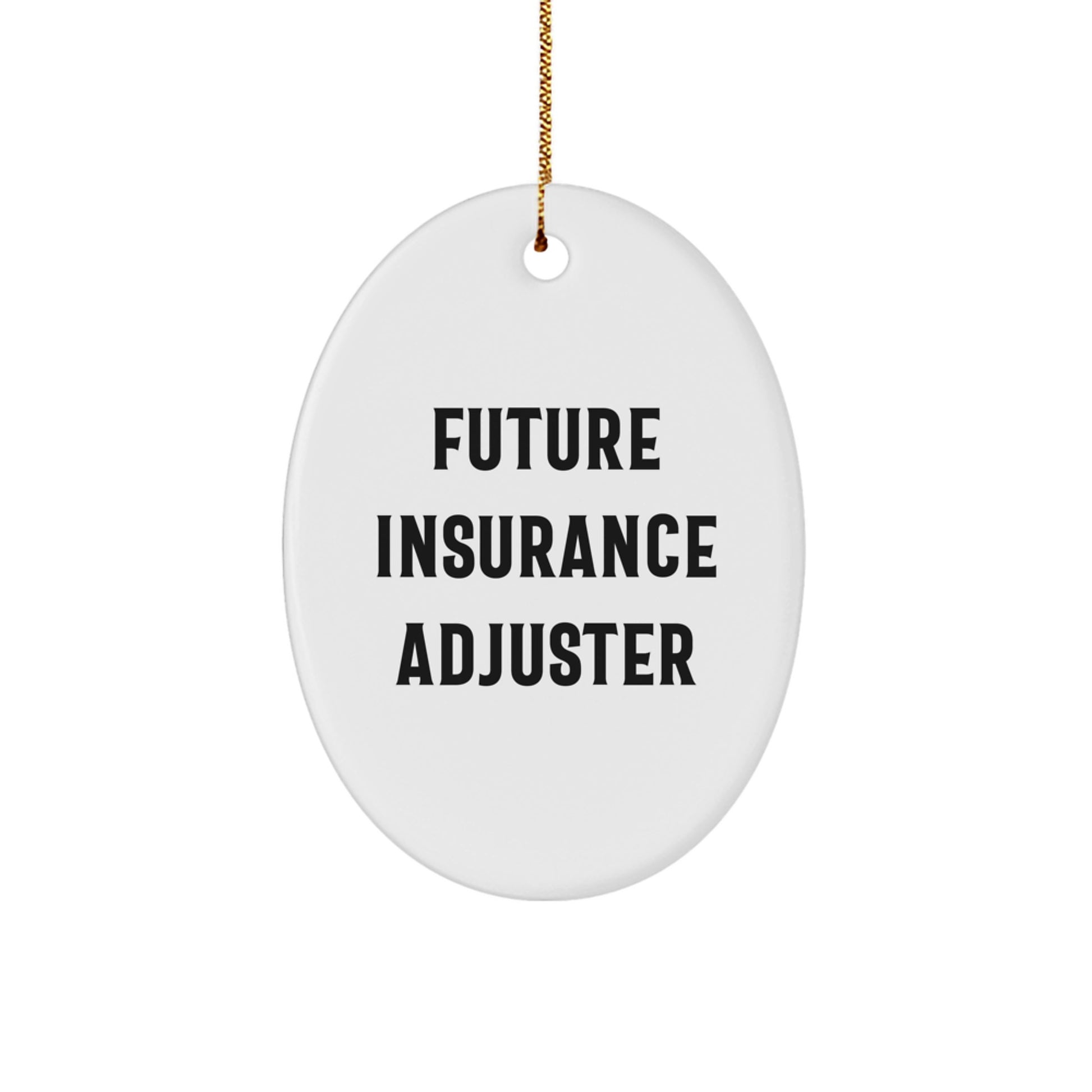 Funny Future Insurance Adjuster Oval Ornament Gifts from Family for Christmas - Image 1
