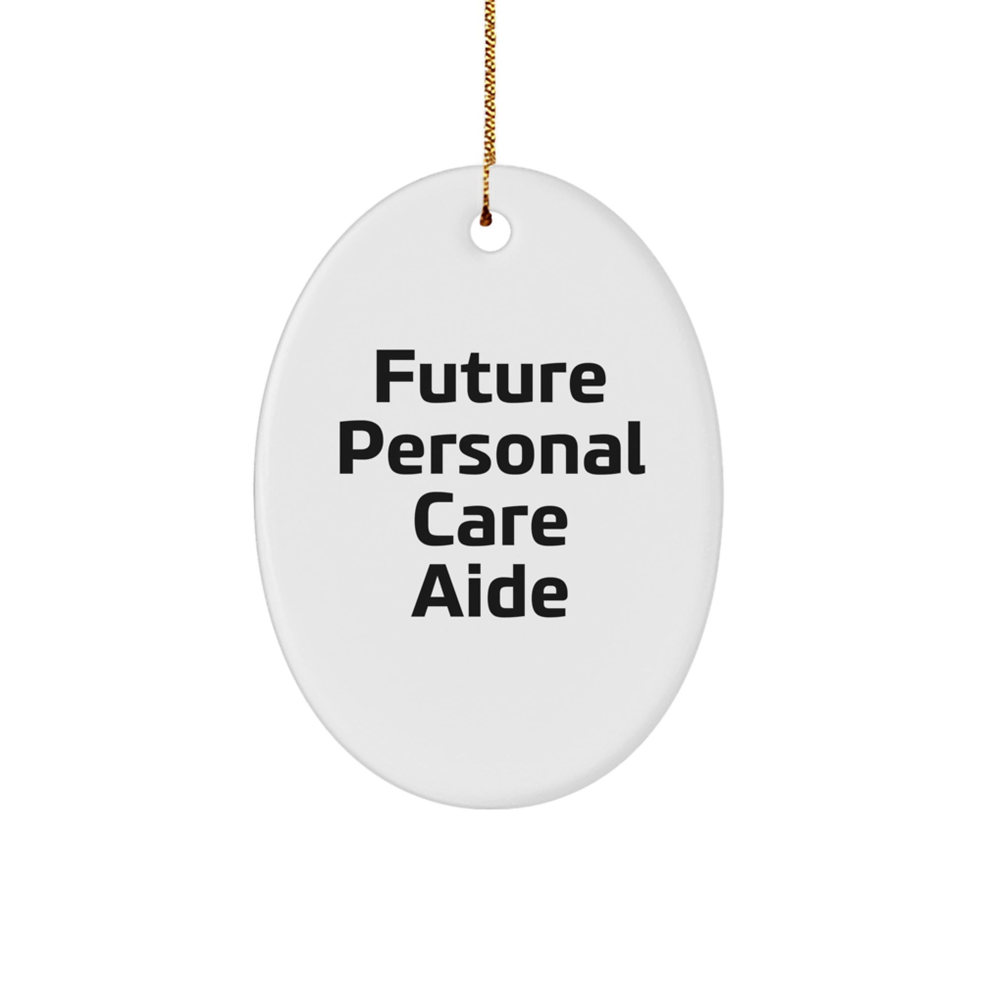 Funny Future Personal Care Aide Oval Ornament Gifts from Men to Women Coworkers Family - Christmas Unique Personal Care Aide Gifts - Image 1