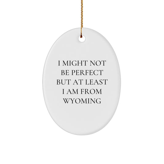 Funny Wyoming Gifts, Oval Ornament Quotes for Christmas Unique Gifts from Friends to Family - Image 1
