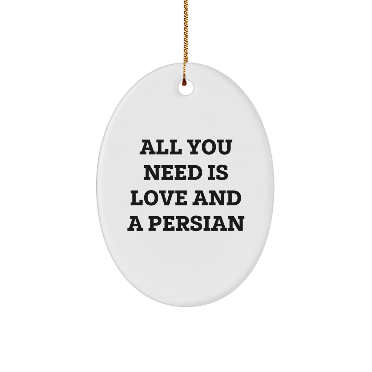 Funny Persian Cat Oval Ornament Gifts from Friends for Family Christmas Unique Decorations - Image 1