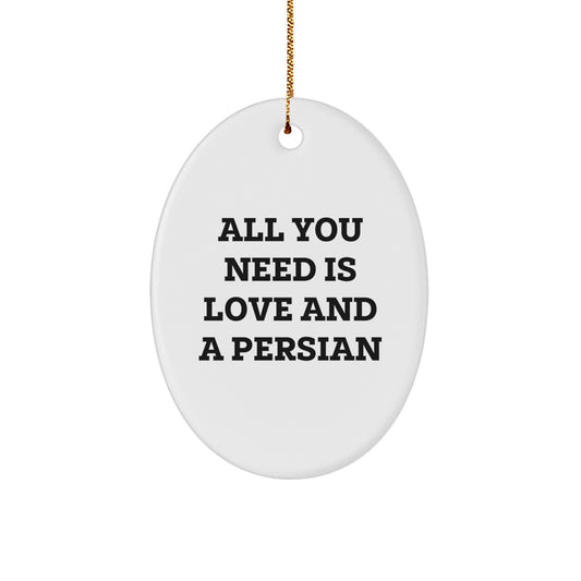 Funny Persian Cat Oval Ornament Gifts from Friends for Family Christmas Unique Decorations - Image 1