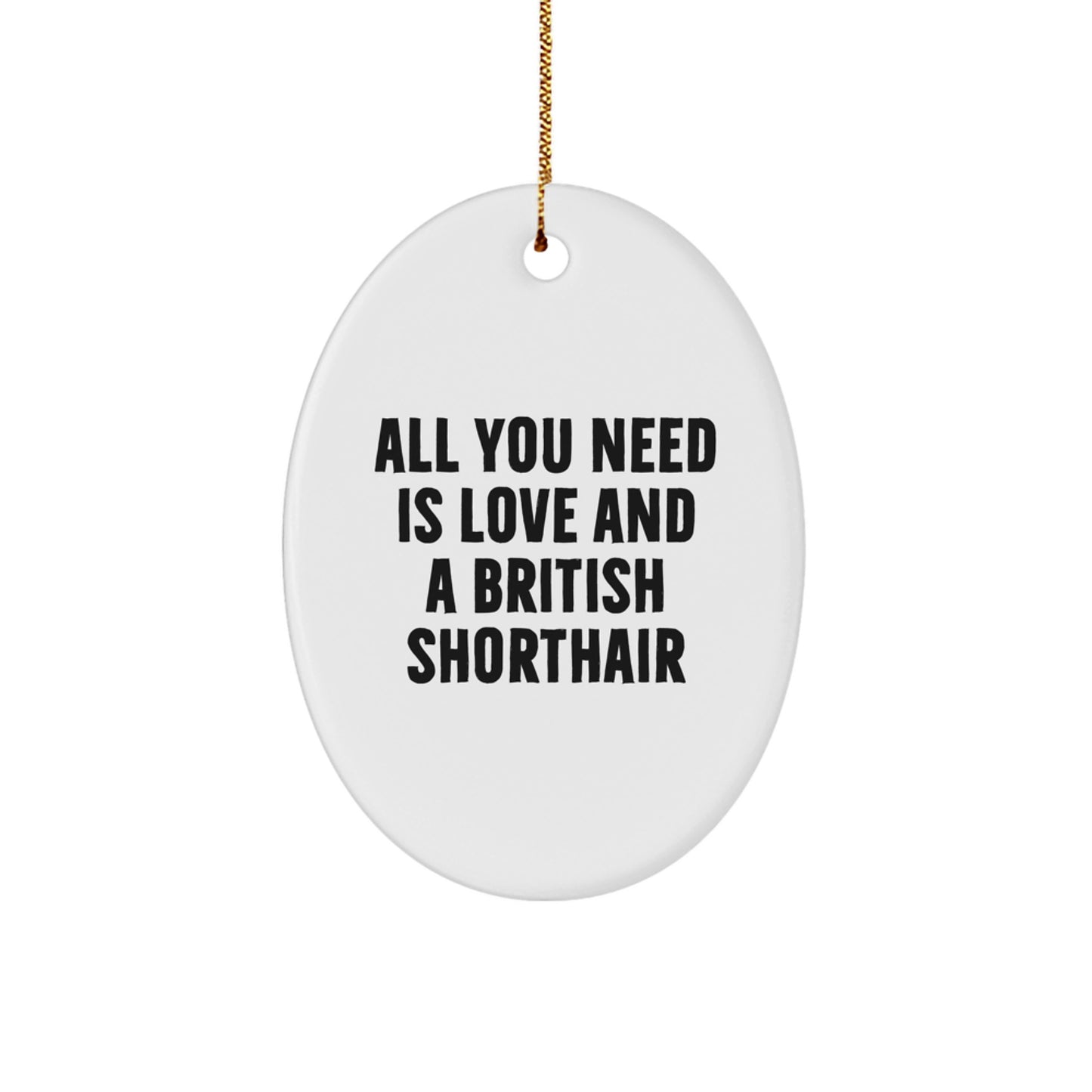 Christmas Unique Gifts for British Shorthair Cat Lovers - Funny Oval Ornament, All You Need Is Love And A British Shorthair, Gifts from Family - Image 1
