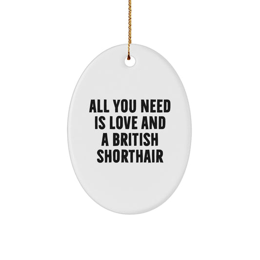 Christmas Unique Gifts for British Shorthair Cat Lovers - Funny Oval Ornament, All You Need Is Love And A British Shorthair, Gifts from Family - Image 1