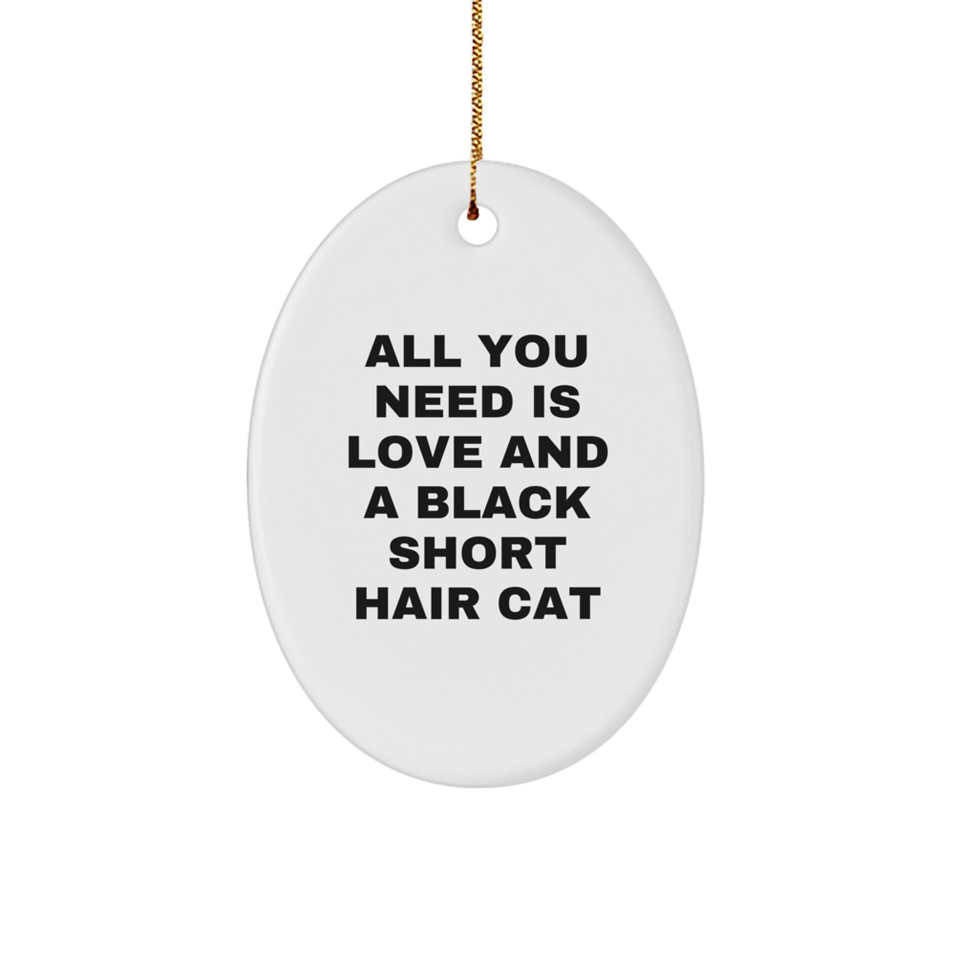 Funny Black Short Hair Cat Gifts for Friends, Cute Oval Ornament with Inspirational Quote, Gifts from Women to Family at Christmas Time - Image 1