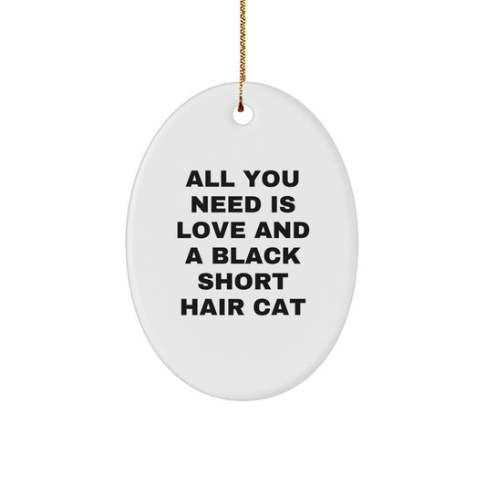 Funny Black Short Hair Cat Gifts for Friends, Cute Oval Ornament with Inspirational Quote, Gifts from Women to Family at Christmas Time - Image 1