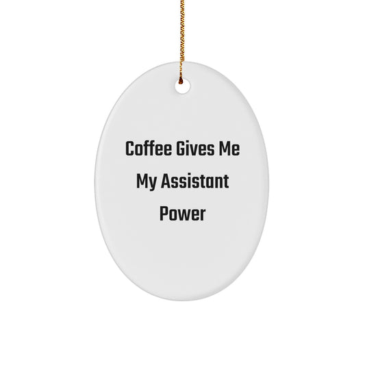 Funny Oval Ornaments for Assistant Enthusiasts Gifts from Friends and Family - Christmas Unique Gifts - Image 1