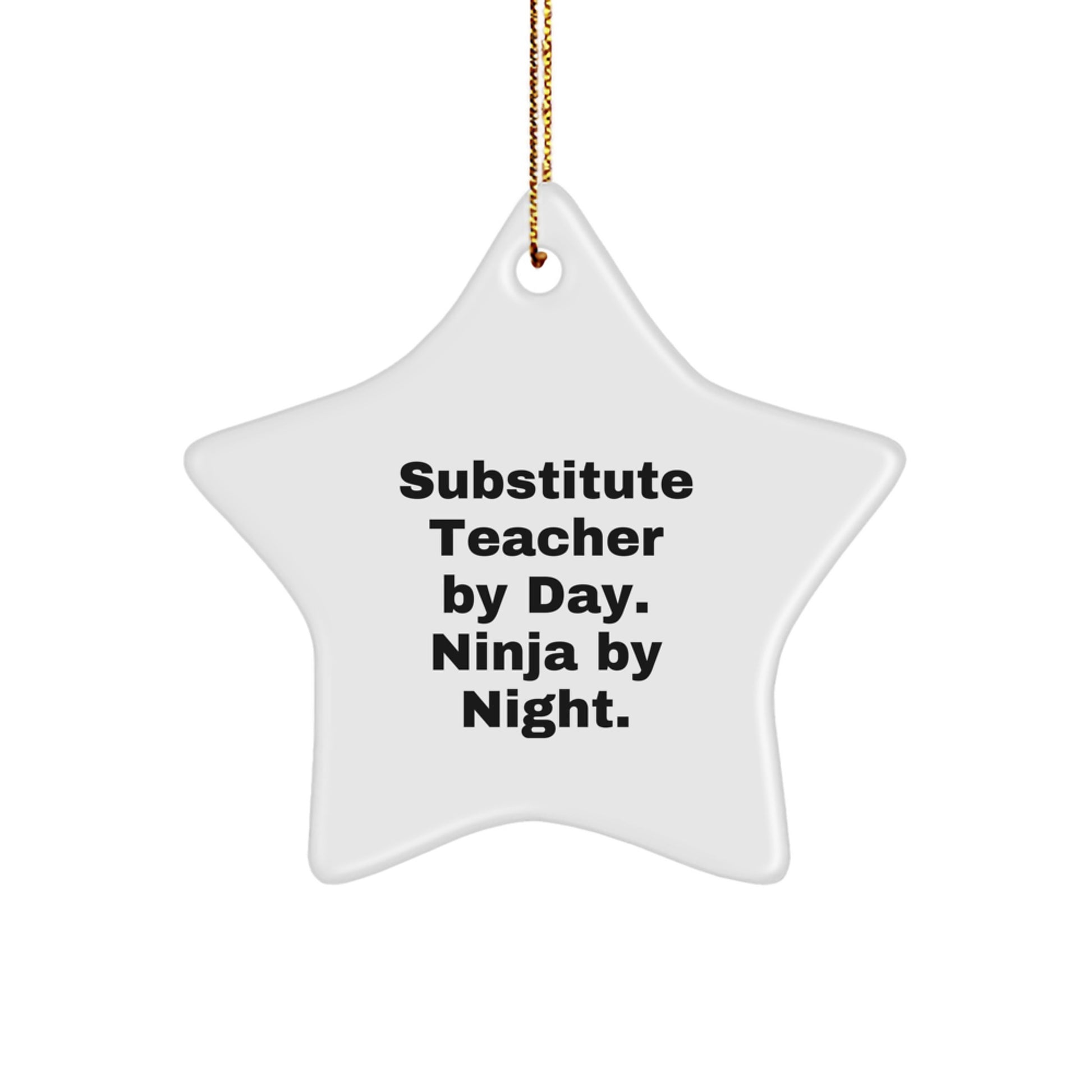 Substitute Teacher Gifts, Star Ornament by Day, Ninja by Night, Christmas Unique Gifts from Friends - Image 1
