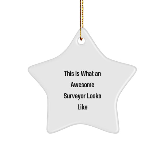 Funny Surveyor Gifts from Family for Men Star Ornament White Christmas Unique Gift Ideas - Image 1