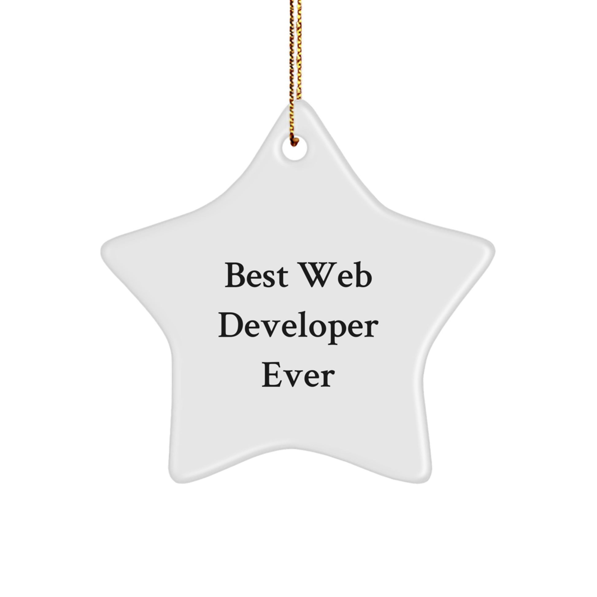 Funny Web Developer Star Ornament Gifts from Friends to Web Developer Men on Christmas Unique Gifts - Image 1