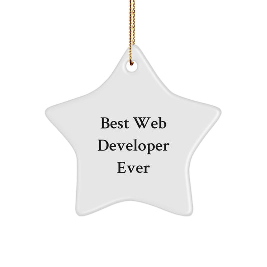Funny Web Developer Star Ornament Gifts from Friends to Web Developer Men on Christmas Unique Gifts - Image 1