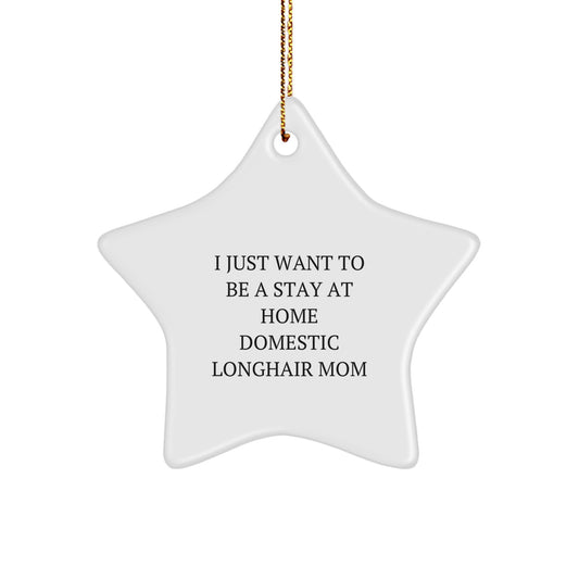 Funny Domestic Longhair Cat Mom Gifts from Friends - I Just Want To Be A Stay At Home Star Ornament - Christmas Unique Gifts for Domestic Longhair Cat Lovers - Image 1