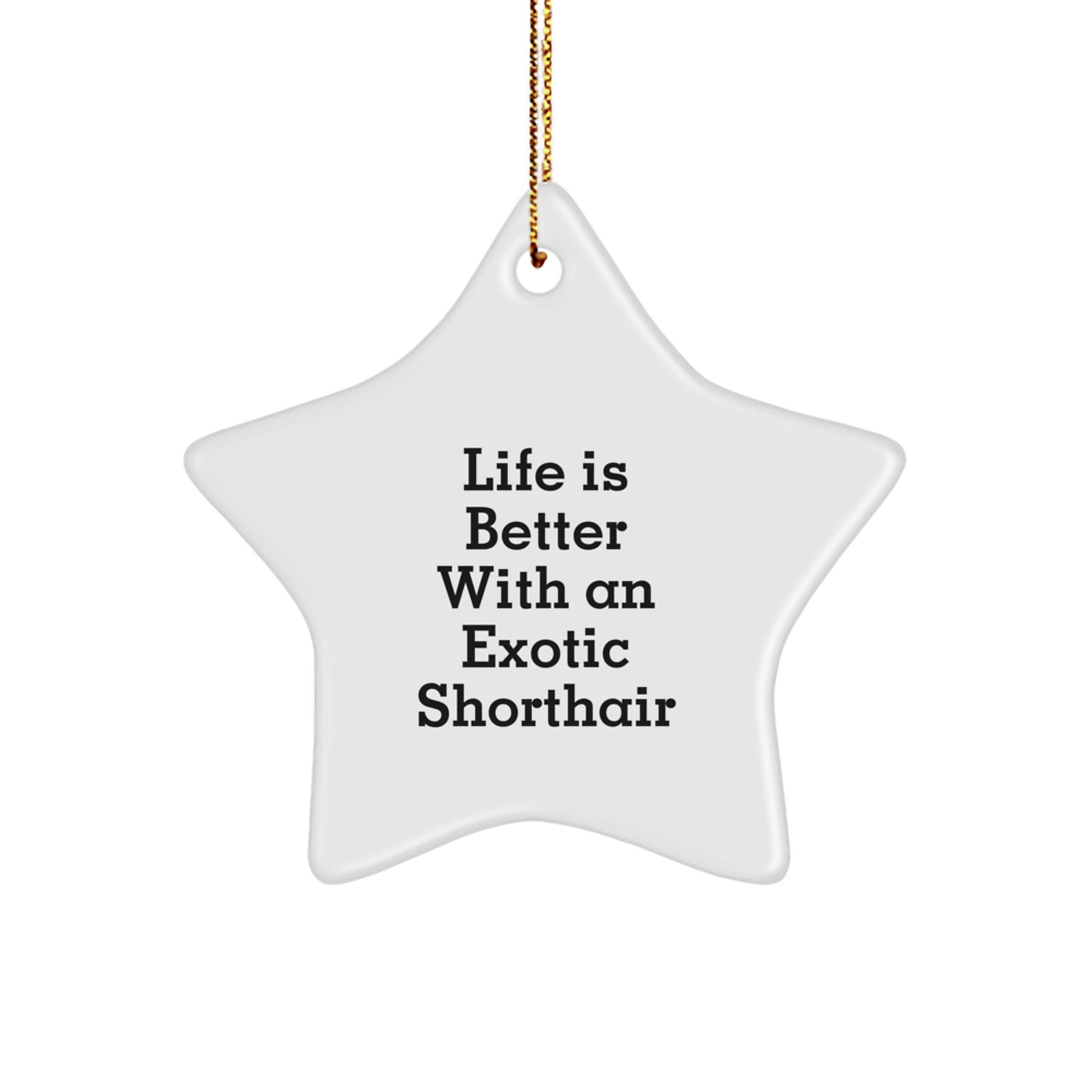 Exotic Shorthair Cat Star Ornament Gifts from Family Friends to Exotic Shorthair Cat Lovers - Life Is Better With An Exotic Shorthair, Funny Christmas Ornament for Cat Enthusiasts - Image 1