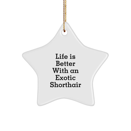 Exotic Shorthair Cat Star Ornament Gifts from Family Friends to Exotic Shorthair Cat Lovers - Life Is Better With An Exotic Shorthair, Funny Christmas Ornament for Cat Enthusiasts - Image 1