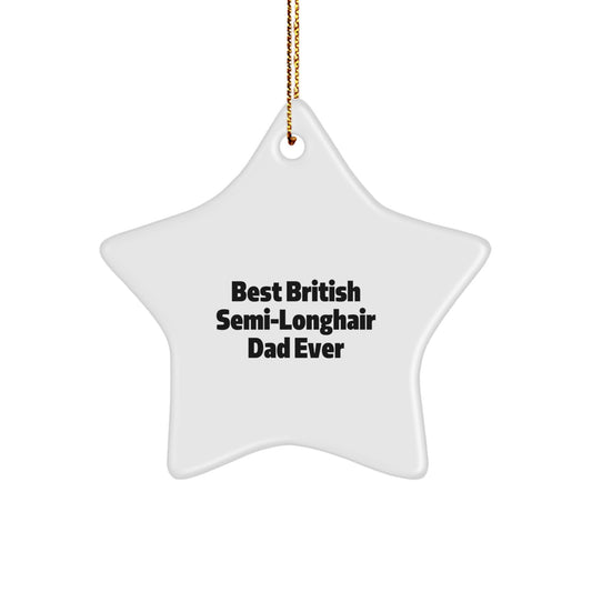 Funny British Semi-longhair Cat Star Ornament Gifts from Men for Christmas Unique Gifts - Image 1
