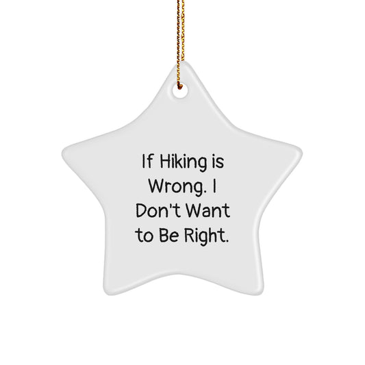 Hiking Star Ornament Gifts from Friends for Hiking Enthusiasts - 'If Hiking Is Wrong. I Don't Want To Be Right.' Funny Star Ornament for Christmas - Image 1