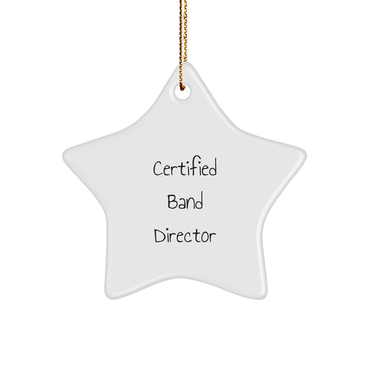 Encouraging Band Director Gifts from Friends and Family - Funny Star Ornament for Christmas - Image 1