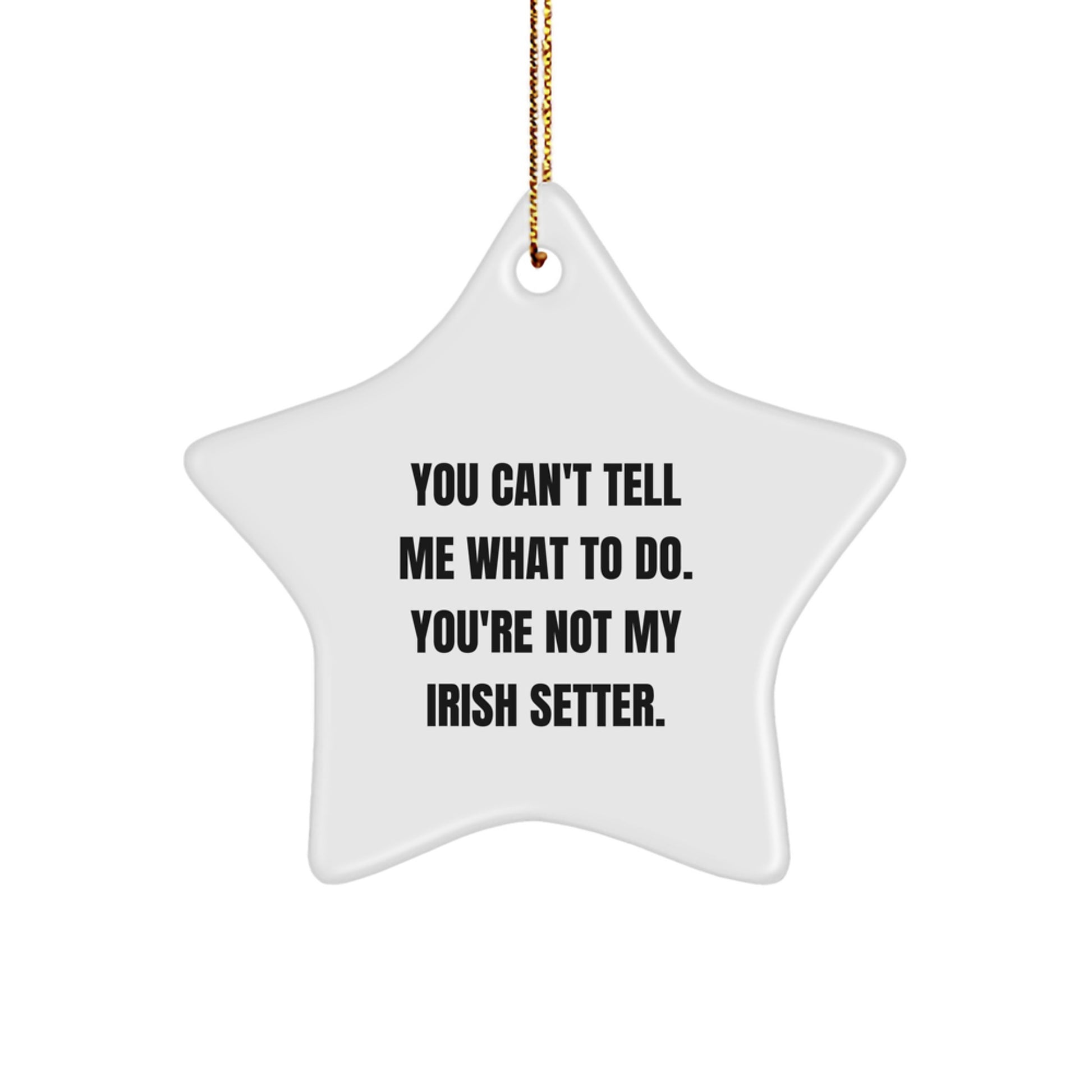 Funny Irish Setter Dog Star Ornament Gifts from Friends to Family for Christmas - Image 1