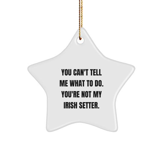 Funny Irish Setter Dog Star Ornament Gifts from Friends to Family for Christmas - Image 1
