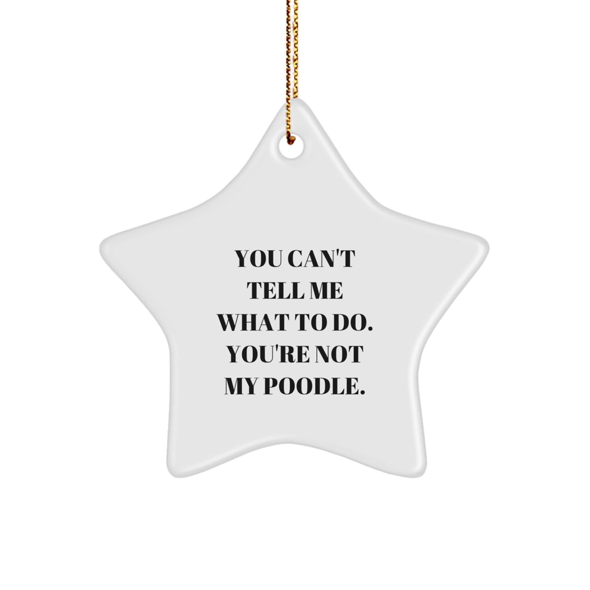 Funny Poodle Dog Gifts from Men, Star Ornament with Inspirational Quote, Unique Christmas Memorable Presents for Women, Friends, and Family - Durable MDF Material - Image 1