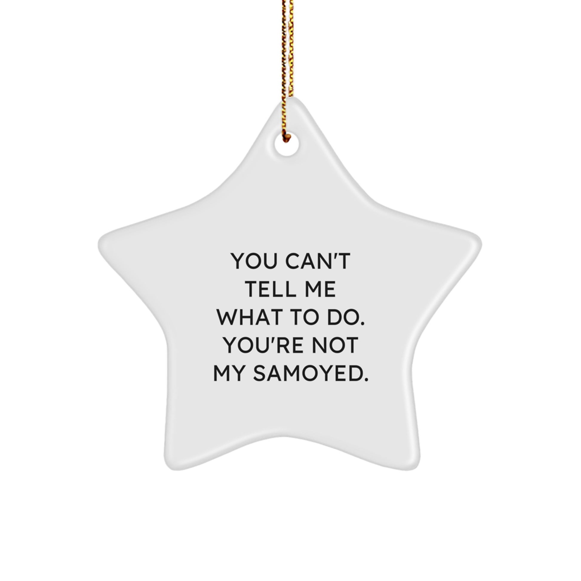 Samoyed Dog Lovers Star Ornament, Funny Quote, Gift from Friends, Perfect for Christmas - Image 1