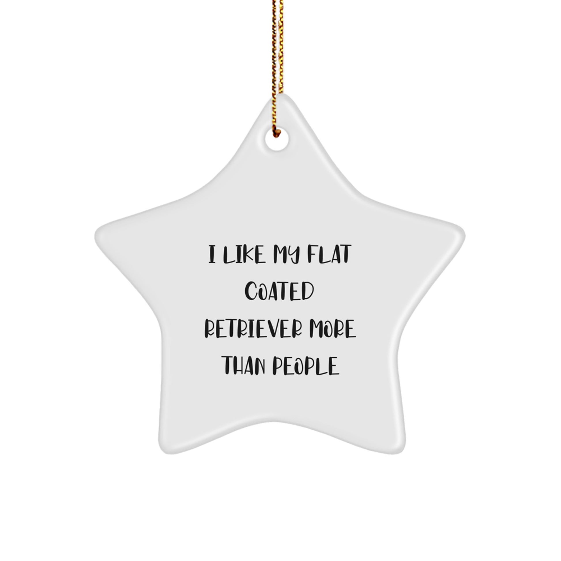 Funny Flat Coated Retriever Dog Gifts from Family to Friends, 'I Like My Flat Coated Retriever More Than People' Star Ornament for Christmas - Image 1