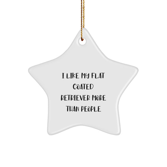 Funny Flat Coated Retriever Dog Gifts from Family to Friends, 'I Like My Flat Coated Retriever More Than People' Star Ornament for Christmas - Image 1