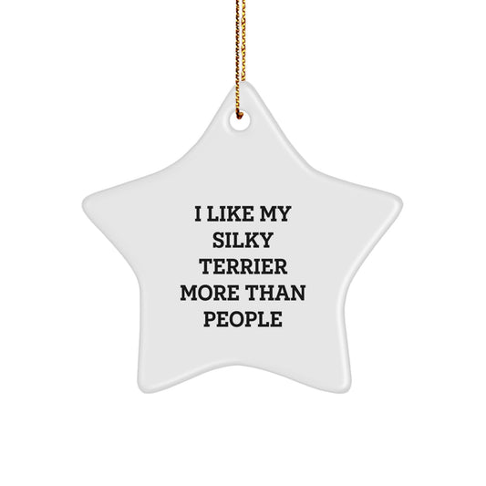Funny Silky Terrier Dog Gifts from Friends and Family, I Like My Silky Terrier More Than People, Christmas Unique Star Ornaments for Home Decor - Image 1