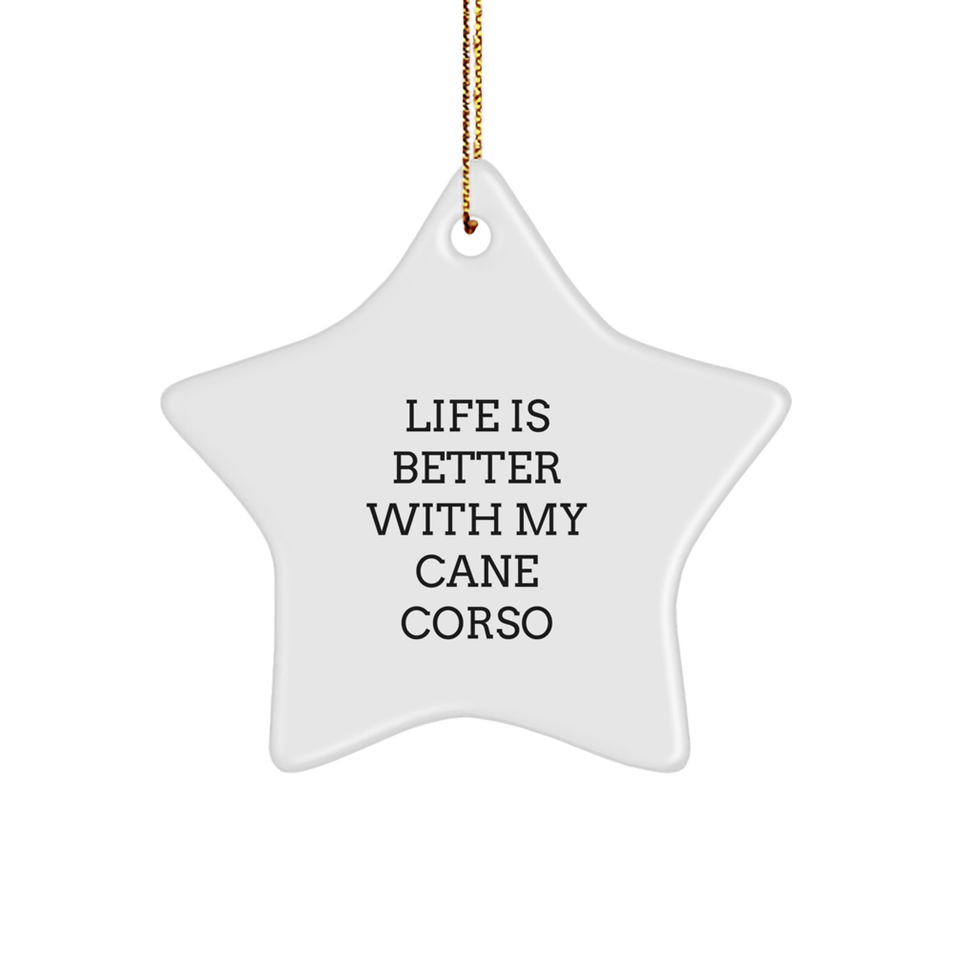 Cane Corso Dog Lovers Gifts, Funny Quote Star Ornament from Family, for Friends, Coworkers, or Any Cane Corso Dog Enthusiast, Unique Christmas Unique Gift - Image 1