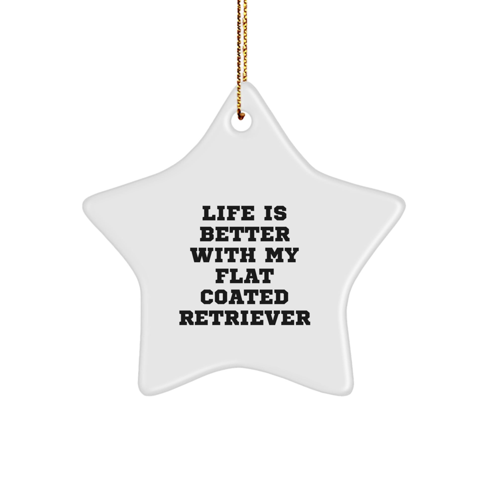 Flat Coated Retriever Dog Lovers' Christmas Unique Gift, 'Life Is Better With My Flat Coated Retriever' Star Ornament, Unique Christmas Unique Gifts from Family to Friends - Image 1