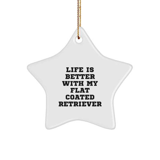 Flat Coated Retriever Dog Lovers' Christmas Unique Gift, 'Life Is Better With My Flat Coated Retriever' Star Ornament, Unique Christmas Unique Gifts from Family to Friends - Image 1