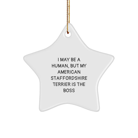Funny American Staffordshire Terrier Dog Star Ornament Gifts from Men for Christmas Unique Gifts - Image 1