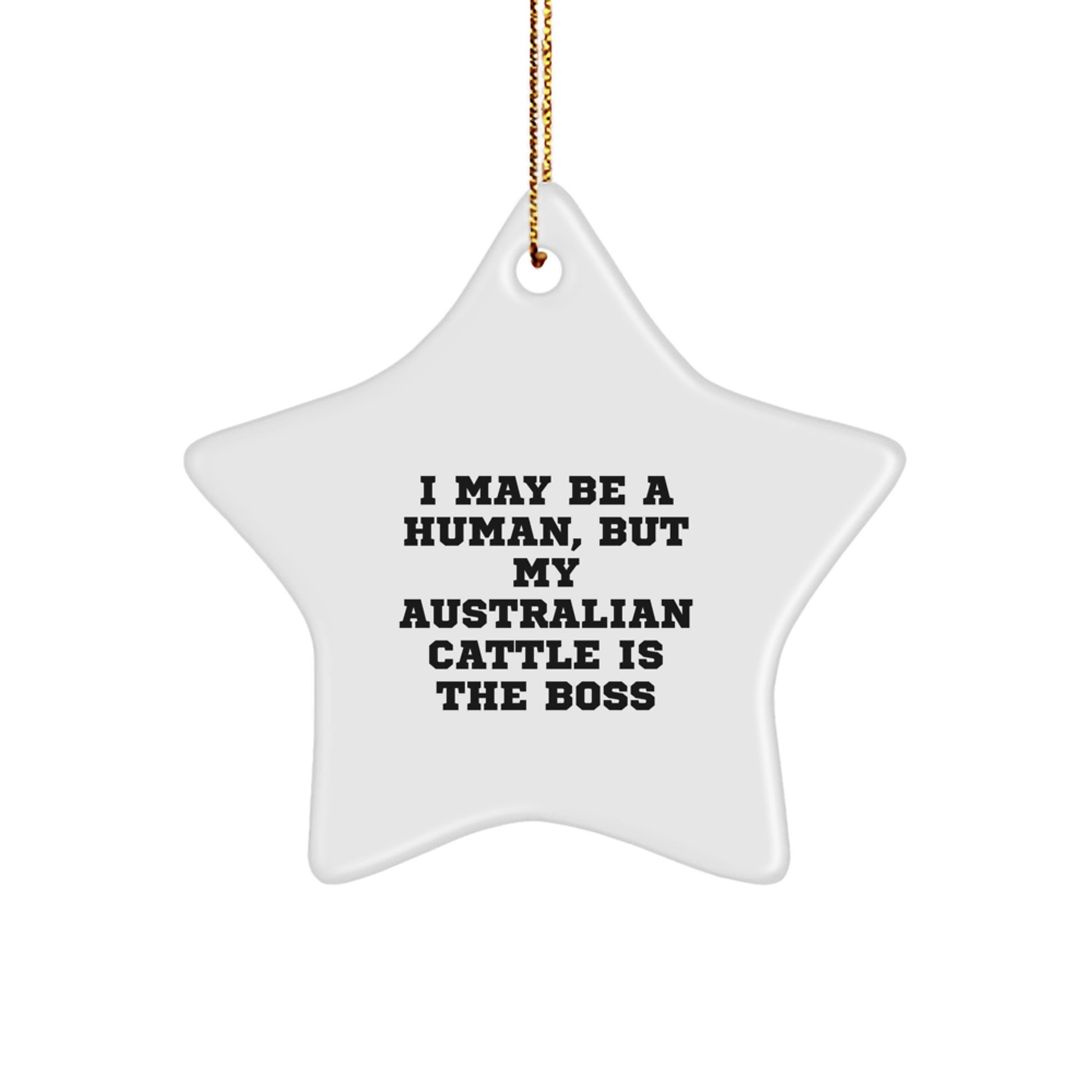 Funny Australian Cattle Dog Gifts for Men Christmas - Star Ornament with 'I May Be A Human, But My Australian Cattle Is The Boss' Quote, Gifts from Dad for Family - Image 1