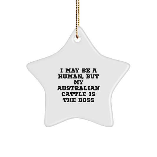 Funny Australian Cattle Dog Gifts for Men Christmas - Star Ornament with 'I May Be A Human, But My Australian Cattle Is The Boss' Quote, Gifts from Dad for Family - Image 1