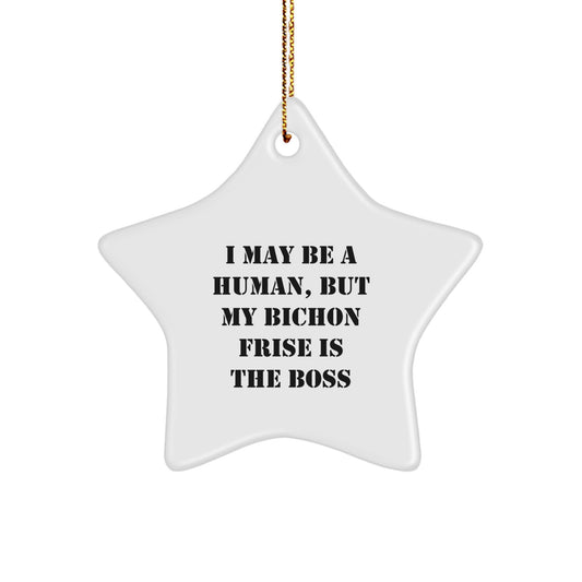 Funny Bichon Frise Dog Christmas Unique Gifts from Family, White Star Ornament - Image 1