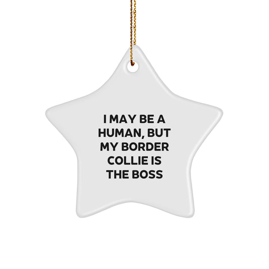 Funny Border Collie Dog Owner Christmas Star Ornament Gifts from Family to Friends, Perfect for Men and Women - Image 1