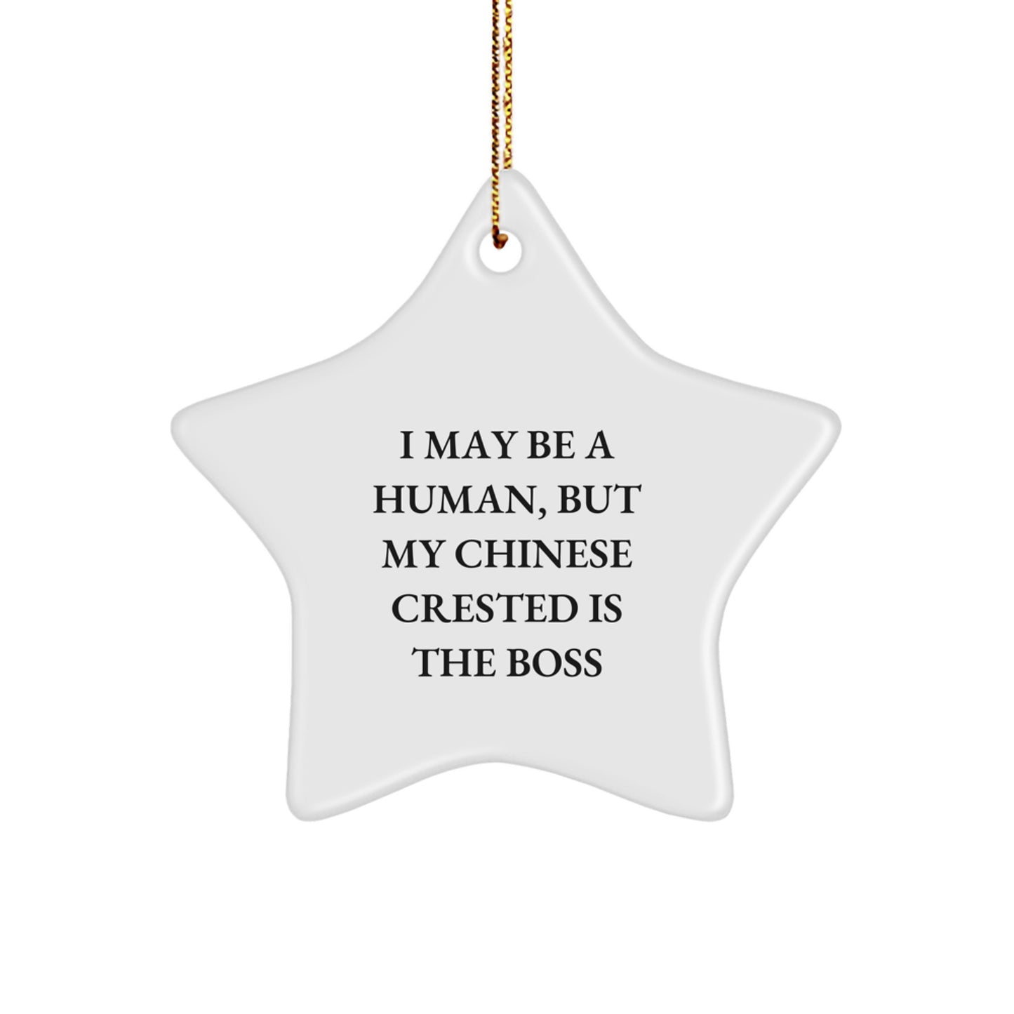 Funny Chinese Crested Dog Gifts from Friends to Family - Star Ornament I May Be A Human But My Chinese Crested Is The Boss - Image 1