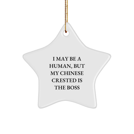 Funny Chinese Crested Dog Gifts from Friends to Family - Star Ornament I May Be A Human But My Chinese Crested Is The Boss - Image 1