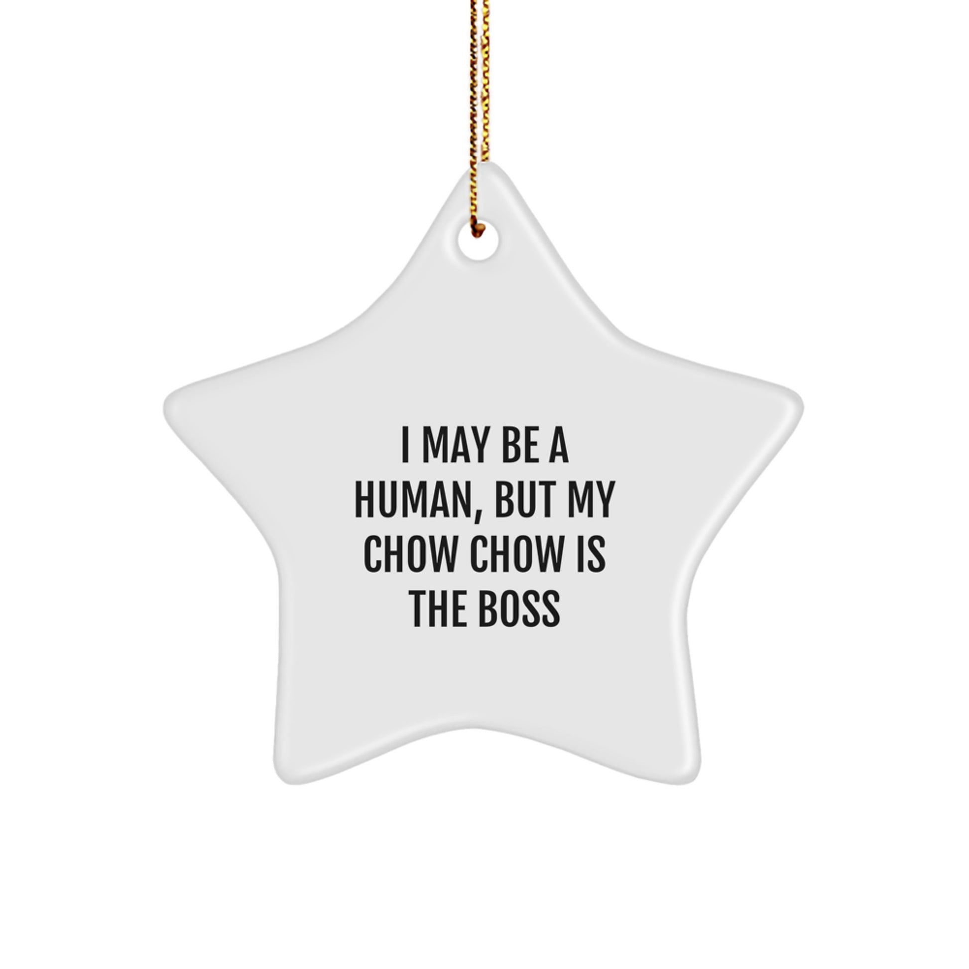 Chow Chow Dog Gifts, Funny Quote Star Ornament, Gifts from Family for Men and Women, Unique Christmas Unique Gifts - Image 1