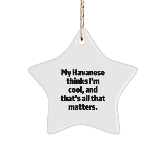 Havanese Dog Lovers' Christmas Unique Gift, Funny Star Ornament for Friends from Havanese Dog Owners, Gifts for Havanese Dog Enthusiasts, My Havanese Thinks I'm Cool, And That's All That Matters. - Image 1