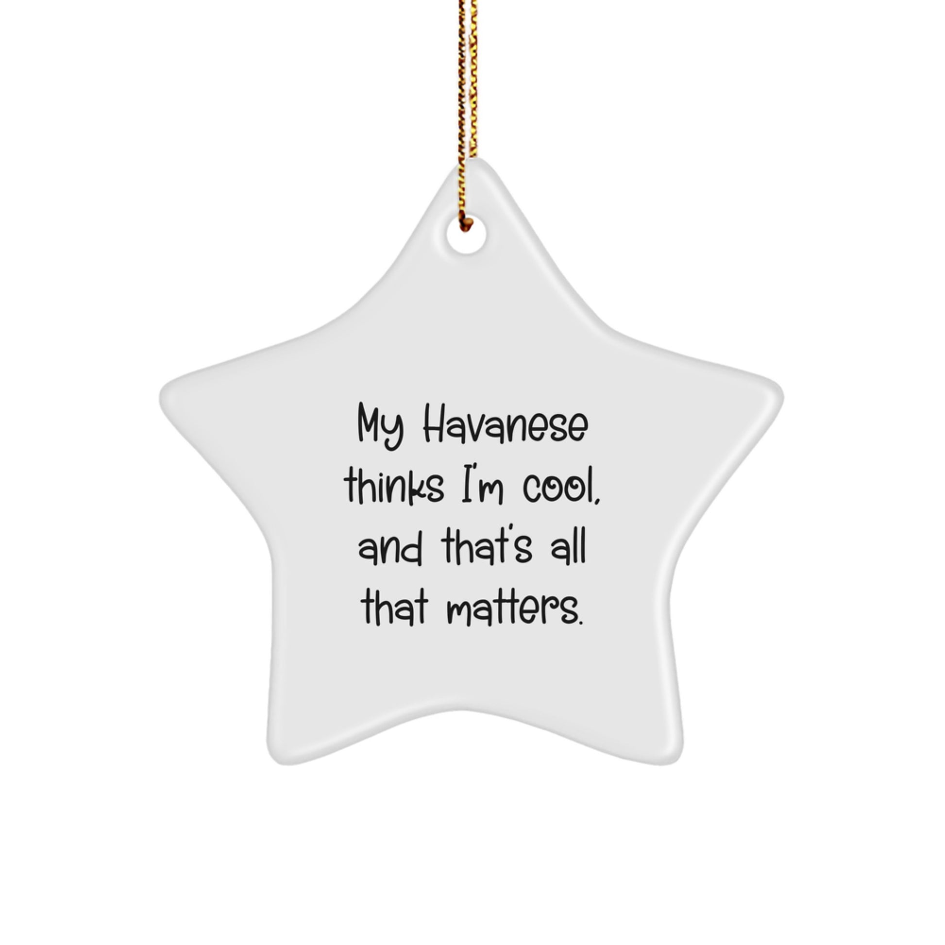 Havanese Dog Lover's Christmas Unique Gift, Funny Star Ornament, 'My Havanese Thinks I'm Cool, And That's All That Matters.' from Friends - Image 1