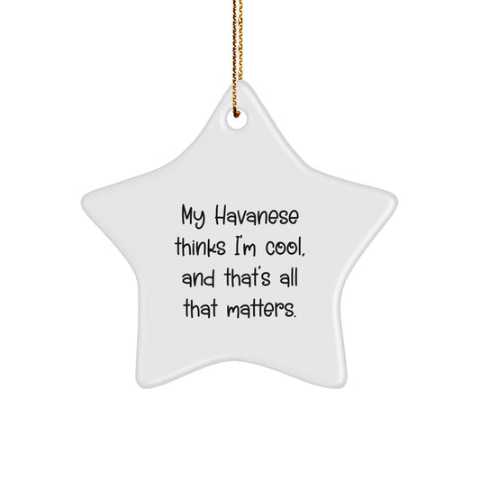 Havanese Dog Lover's Christmas Unique Gift, Funny Star Ornament, 'My Havanese Thinks I'm Cool, And That's All That Matters.' from Friends - Image 1