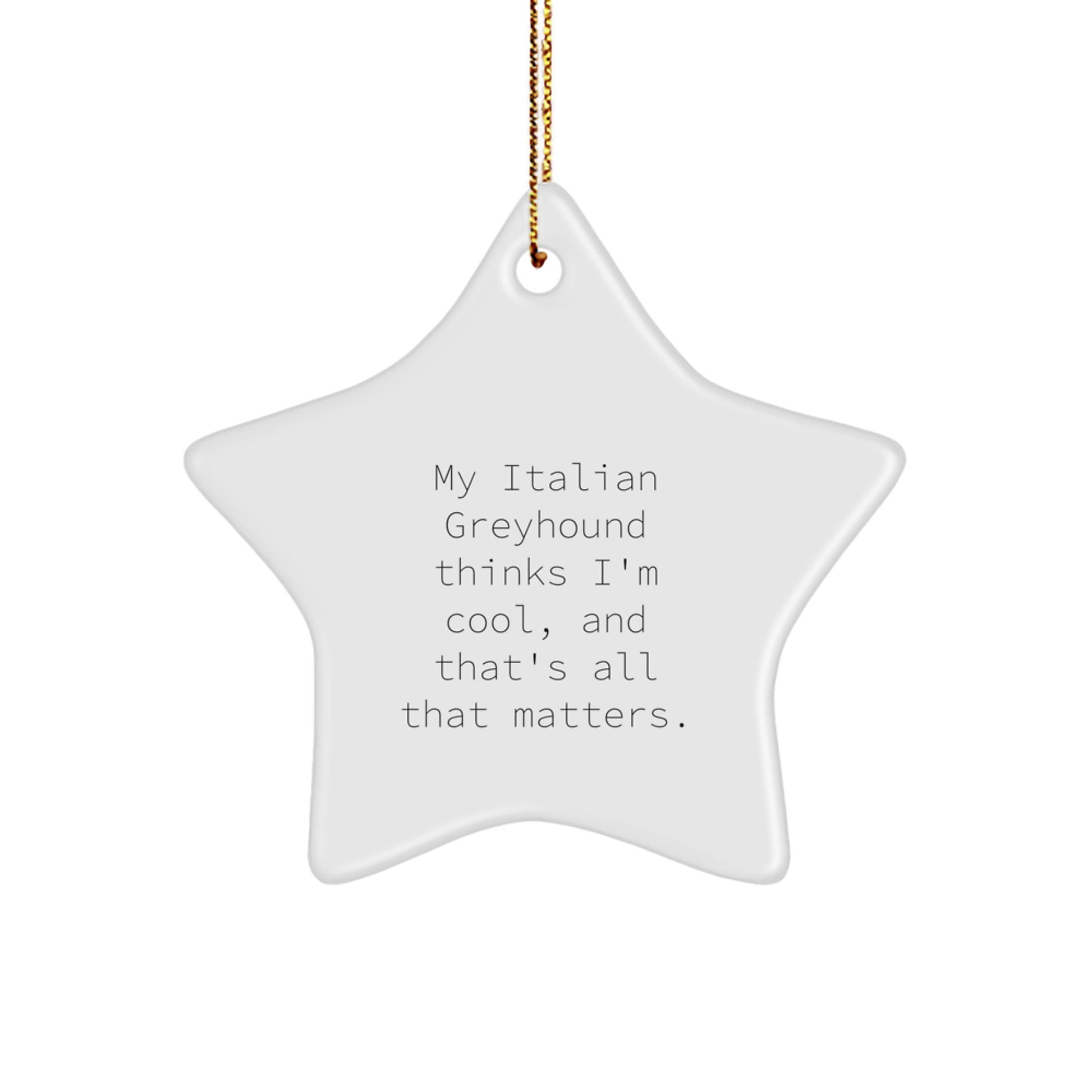 Italian Greyhound Dog Lovers Gifts from Friends for Christmas Star Ornament with Funny Quote - Image 1