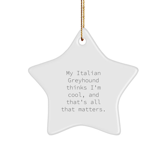 Italian Greyhound Dog Lovers Gifts from Friends for Christmas Star Ornament with Funny Quote - Image 1