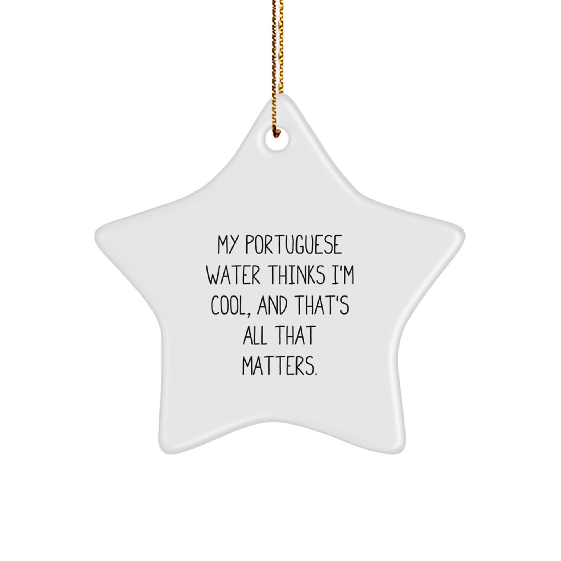 Portuguese Water Dog Lover Gifts from Friends for Christmas - Funny Star Ornament, 'My Portuguese Water Thinks I'm Cool, And That's All That Matters.' - Image 1