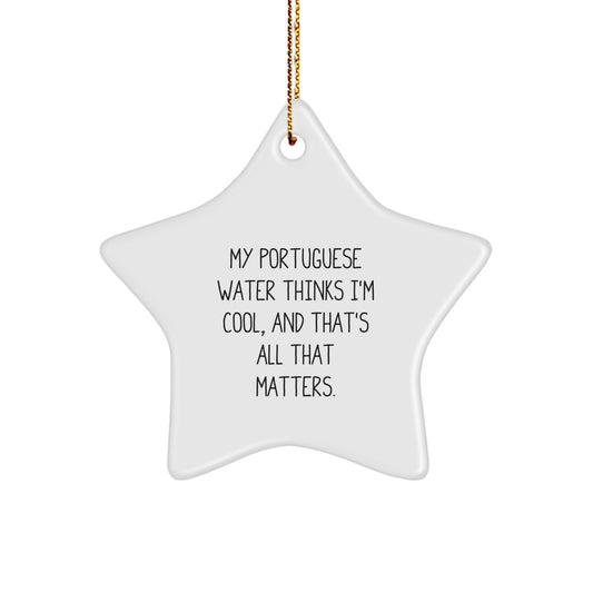 Portuguese Water Dog Lover Gifts from Friends for Christmas - Funny Star Ornament, 'My Portuguese Water Thinks I'm Cool, And That's All That Matters.' - Image 1