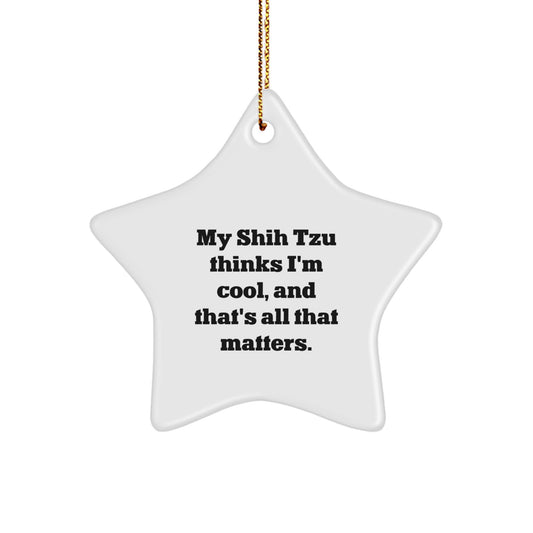 Funny Shih Tzu Dog Star Ornament Gifts from Friends for Family, 'My Shih Tzu Thinks I'm Cool, And That's All That Matters.' - Image 1