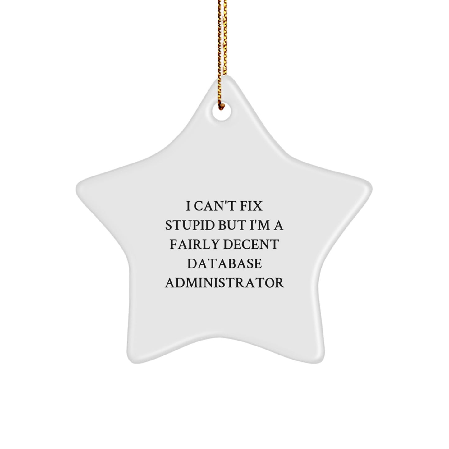 Funny DBA Star Ornament Gifts from Family to Men, Cute Christmas Unique Presents for Database Administrators, I Can't Fix Stupid But I'm A Fairly Decent Star - Image 1