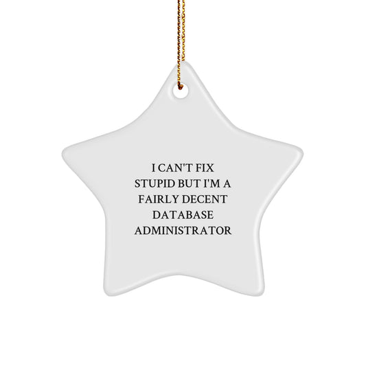 Funny DBA Star Ornament Gifts from Family to Men, Cute Christmas Unique Presents for Database Administrators, I Can't Fix Stupid But I'm A Fairly Decent Star - Image 1
