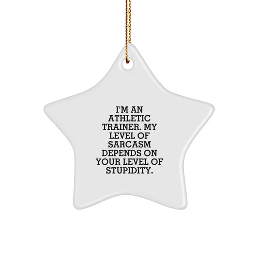 Athletic Trainer Gifts from Women, Funny Star Ornament for Christmas, Inspirational Quote Gifts for Him, 'I'm An Athletic Trainer...' - Image 1