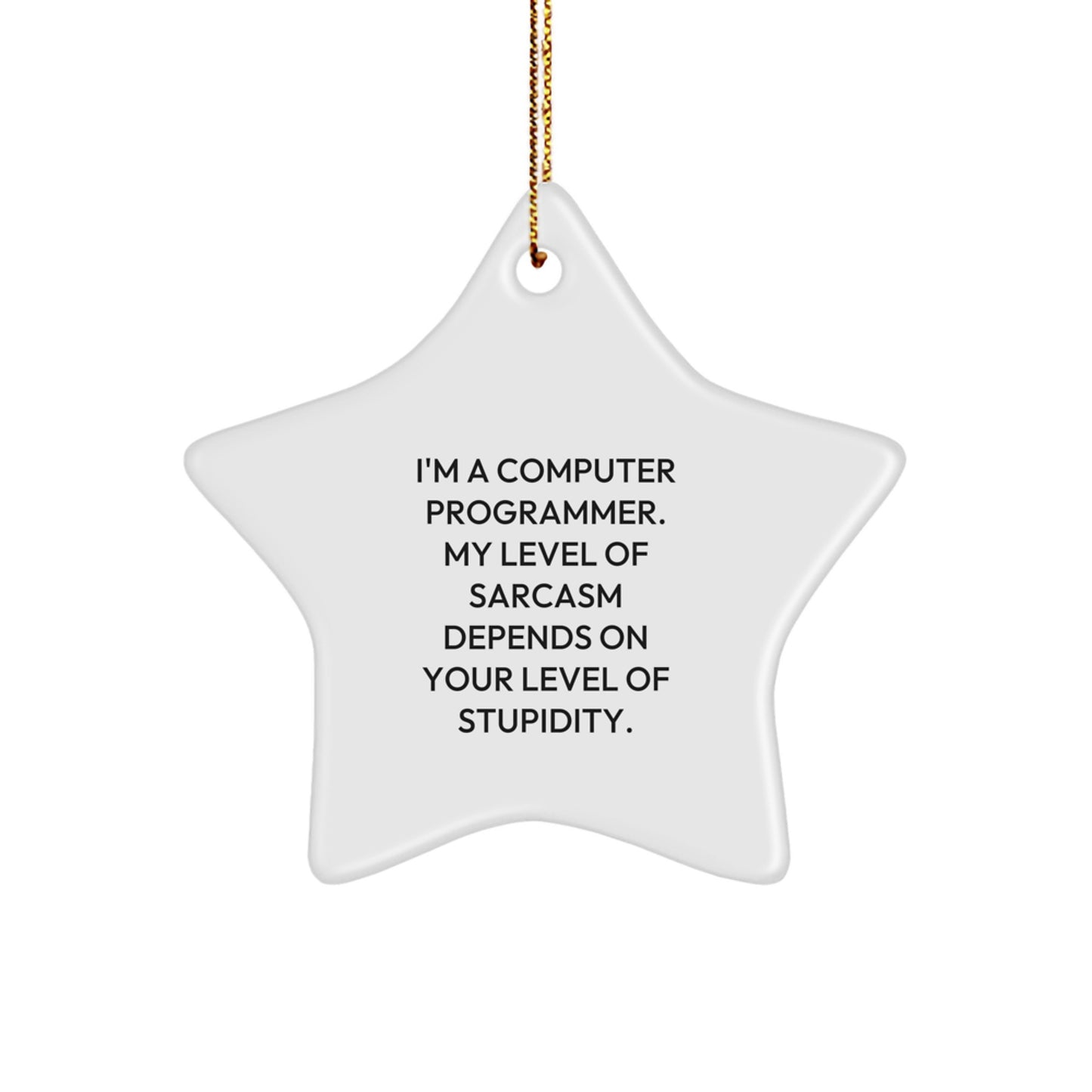 Computer Programmer Gifts for Men, Funny Star Ornament with Sarcasm Quote, Gifts from Friends or Family for Christmas Unique Gifts, Inspirational Programmer Decor - Image 1